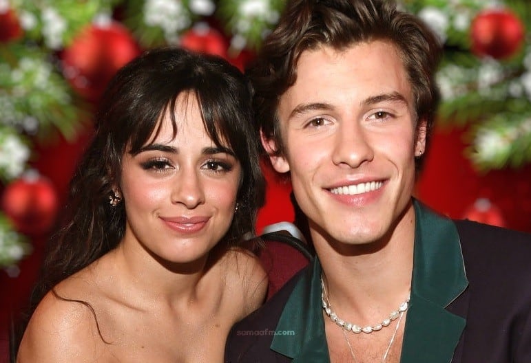 Shawn Mendes and Camila Cabello surprise fans with the Christmas Song