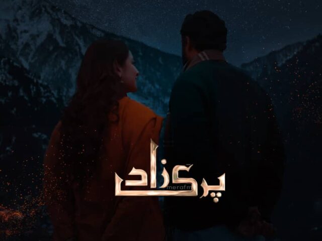 Drama Review: The last episode of Parizaad had us in tears!
