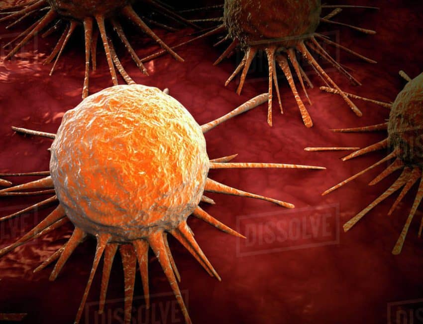 Miracle drug shows 100% remission for all cancer patients in drug trial