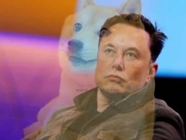 Doge takes over Twitter as Elon Musk replaces app’s iconic bird
