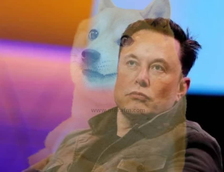 Doge takes over Twitter as Elon Musk replaces app’s iconic bird